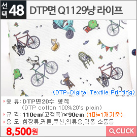 DTP면 Q1129냥 라이프