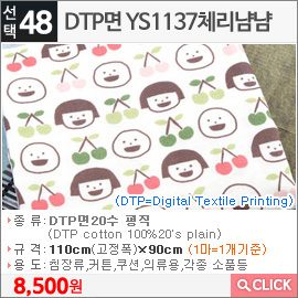 DTP면 YS1137체리냠냠