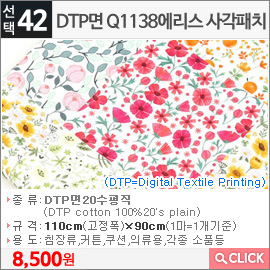 DTP면 Q1138에리스 사각패치