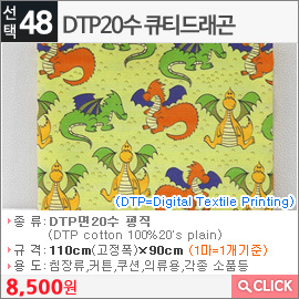 DTP20수 큐티드래곤