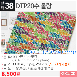 DTP20수 몰랑