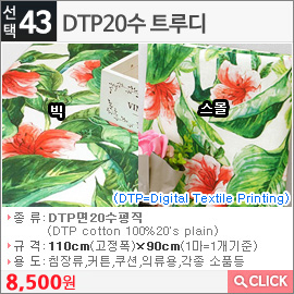 DTP20수 트루디 스몰