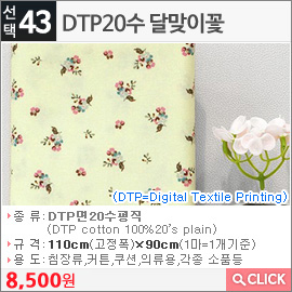 DTP20수 달맞이꽃