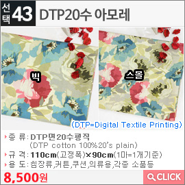 DTP20수 아모레 스몰