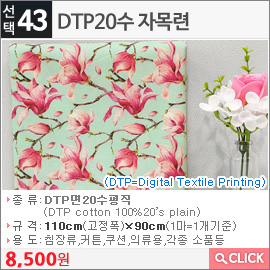 DTP20수 자목련