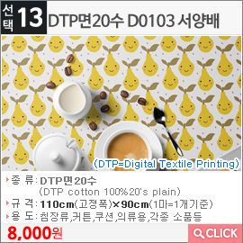 DTP면20수D0103 서양배