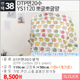 DTP면20수 YS1120 뽀글뽀글양