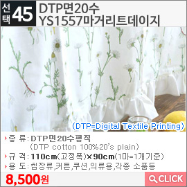 DTP면20수 YS1557마거리트데이지