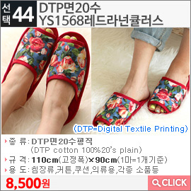 DTP면20수 YS1568레드라넌큘러스