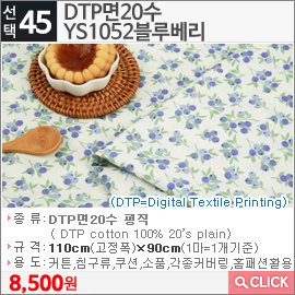 DTP면20수 YS1052블루베리