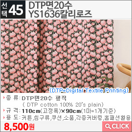 DTP면20수 YS1636칼리로즈