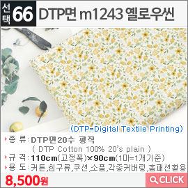 DTP면 m1243 옐로우씬