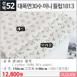 대폭면30수 미니 튤립1813 레드