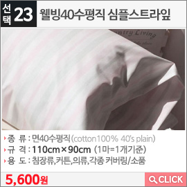 웰빙40수평직 심플스트라잎