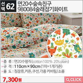 면20수숲속친구980084술래잡기화이트