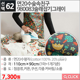 면20수숲속친구980083술래잡기그레이