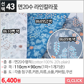 면20수 라인칼라꽃8609남색