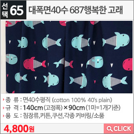 대폭면40수 687행복한 고래