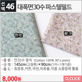 대폭면30수 파스텔필드 민트