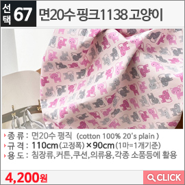 면20수 핑크1138 고양이