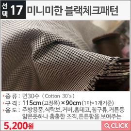 미니미한 블랙체크패턴