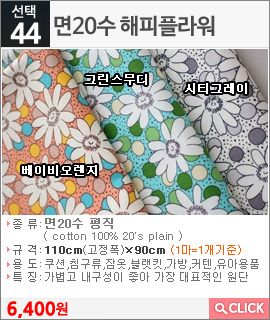 면20수 해피플라워 시티그레이