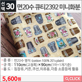 면20수 큐티2392 미니화분