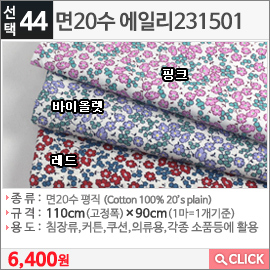 면20수 에일리231501 레드