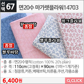 면20수 마가렛플라워14703 블루바탕