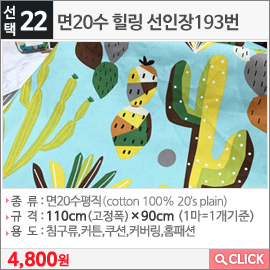 면20수 힐링 선인장193번