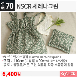 NSCR 세레나그린