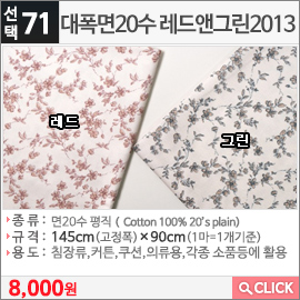 대폭면20수 레드앤그린2013 레드