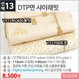 DTP면 샤이래빗 YS1245샤이래빗