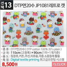 DTP면20수 JP1081레트로 캣