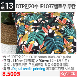 DTP면20수 JP1087헬로우 투칸