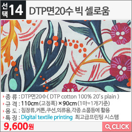 DTP면20수 빅 셀로움