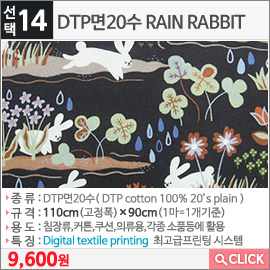 DTP면20수 RAIN RABBIT