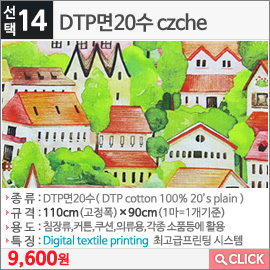 DTP면20수 czche