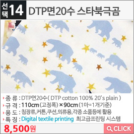 DTP면20수 스타북극곰