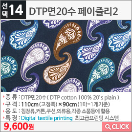 DTP면20수 페이즐리2