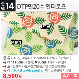 DTP면20수 인더로즈 블루꽃