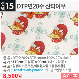 DTP면20수 산타여우