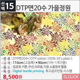 DTP면20수 가을정원