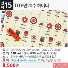 DTP면20수 하이디