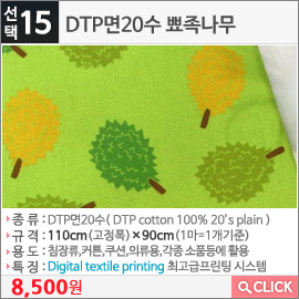 DTP면20수 뾰족나무