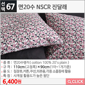 면20수 NSCR 진달래