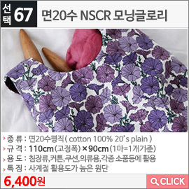 면20수 NSCR 모닝글로리