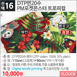 DTP면20수 PM포켓몬스터 트로피컬 와인