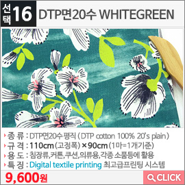 DTP면20수 WHITEGREEN