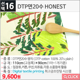 DTP면20수 HONEST